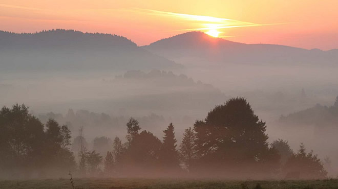 Foto ansehen