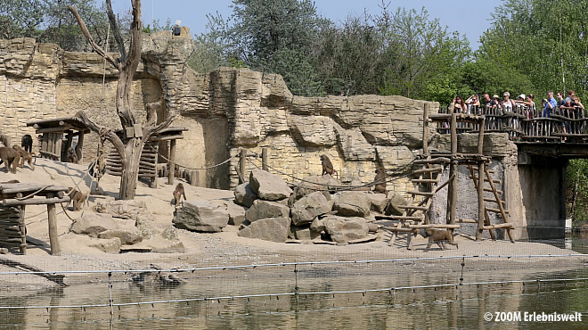  - &nbsp;&nbsp; (Westerwald) - 9. Foto