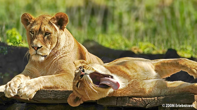  - &nbsp;&nbsp; (Westerwald) - 10. Foto