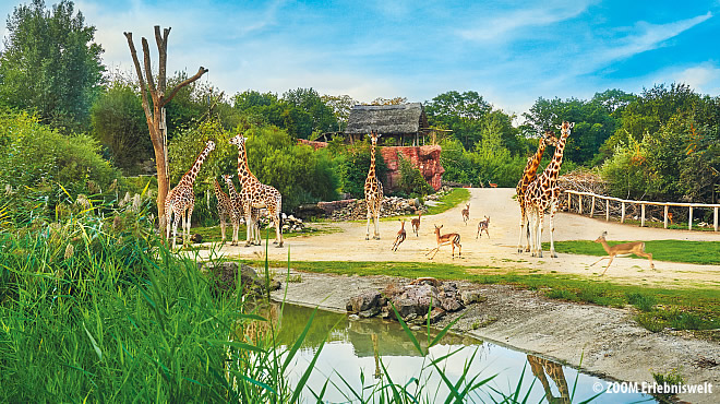  - &nbsp;&nbsp; (Westerwald) - 13. Foto