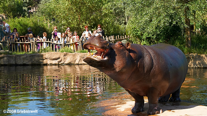  - &nbsp;&nbsp; (Westerwald) - 16. Foto