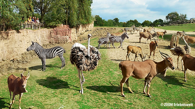  - &nbsp;&nbsp; (Westerwald) - 18. Foto