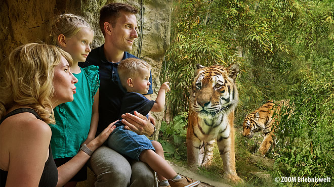  - &nbsp;&nbsp; (Westerwald) - 27. Foto