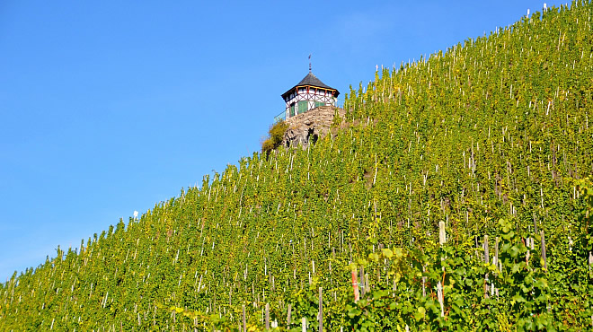 Bernkastel-Kues - JUFA Hotel&nbsp;&nbsp; (Westerwald) - 6. Foto