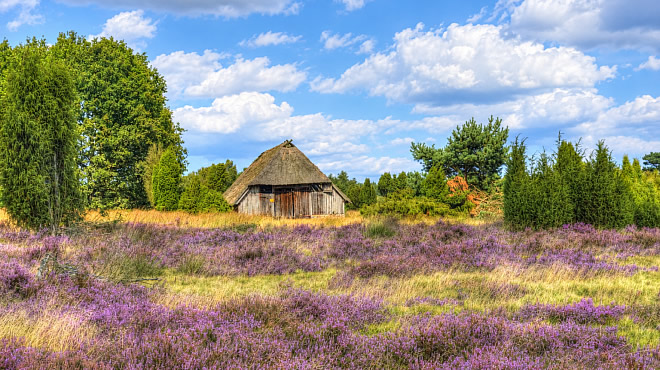 Hodenhagen  - Hotel am Park Lüneburger Heide&nbsp;***&nbsp; ()